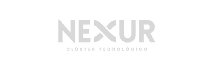 nexurlogogray